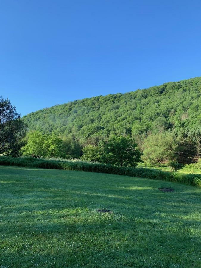 The Maples Apt - King Bed, Pet Friendly, Beautiful Views Ellicottville Exteriör bild