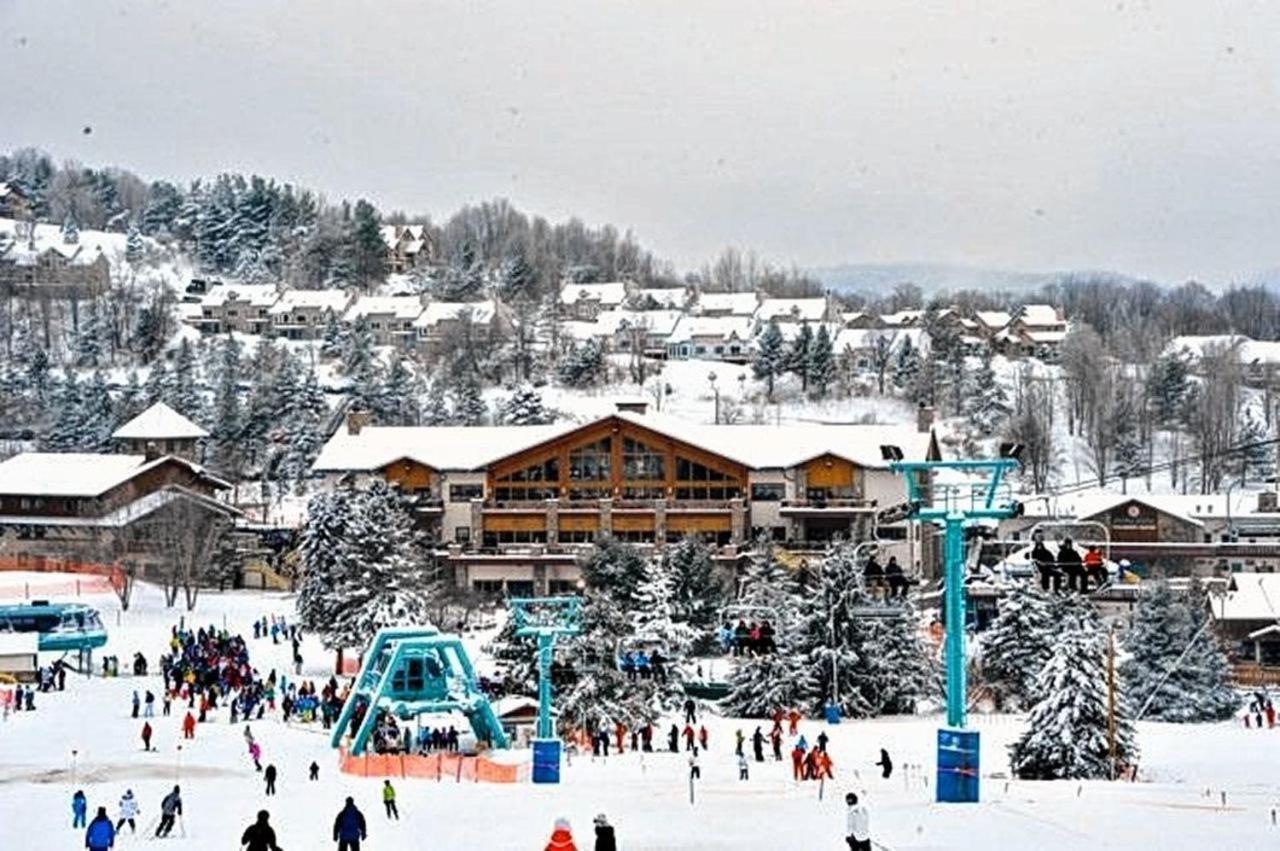 The Maples Apt - King Bed, Pet Friendly, Beautiful Views Ellicottville Exteriör bild